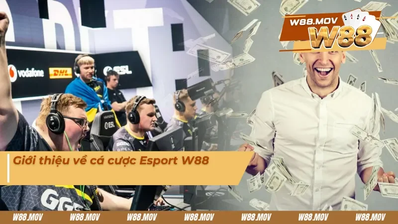 Giới thiệu về cá cược Esport