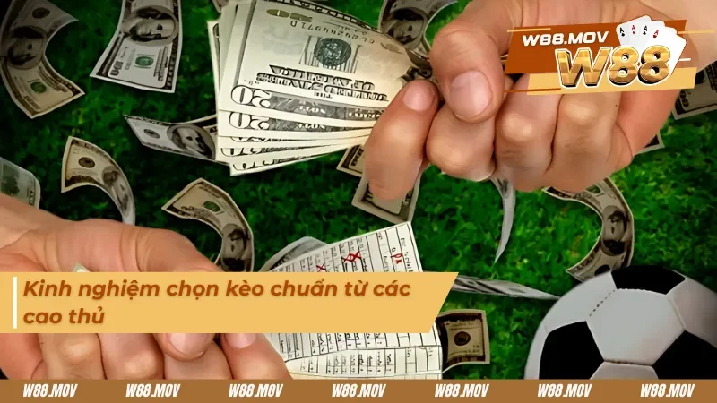 Kinh nghiệm chọn kèo bóng đá dễ chơi cho người mới